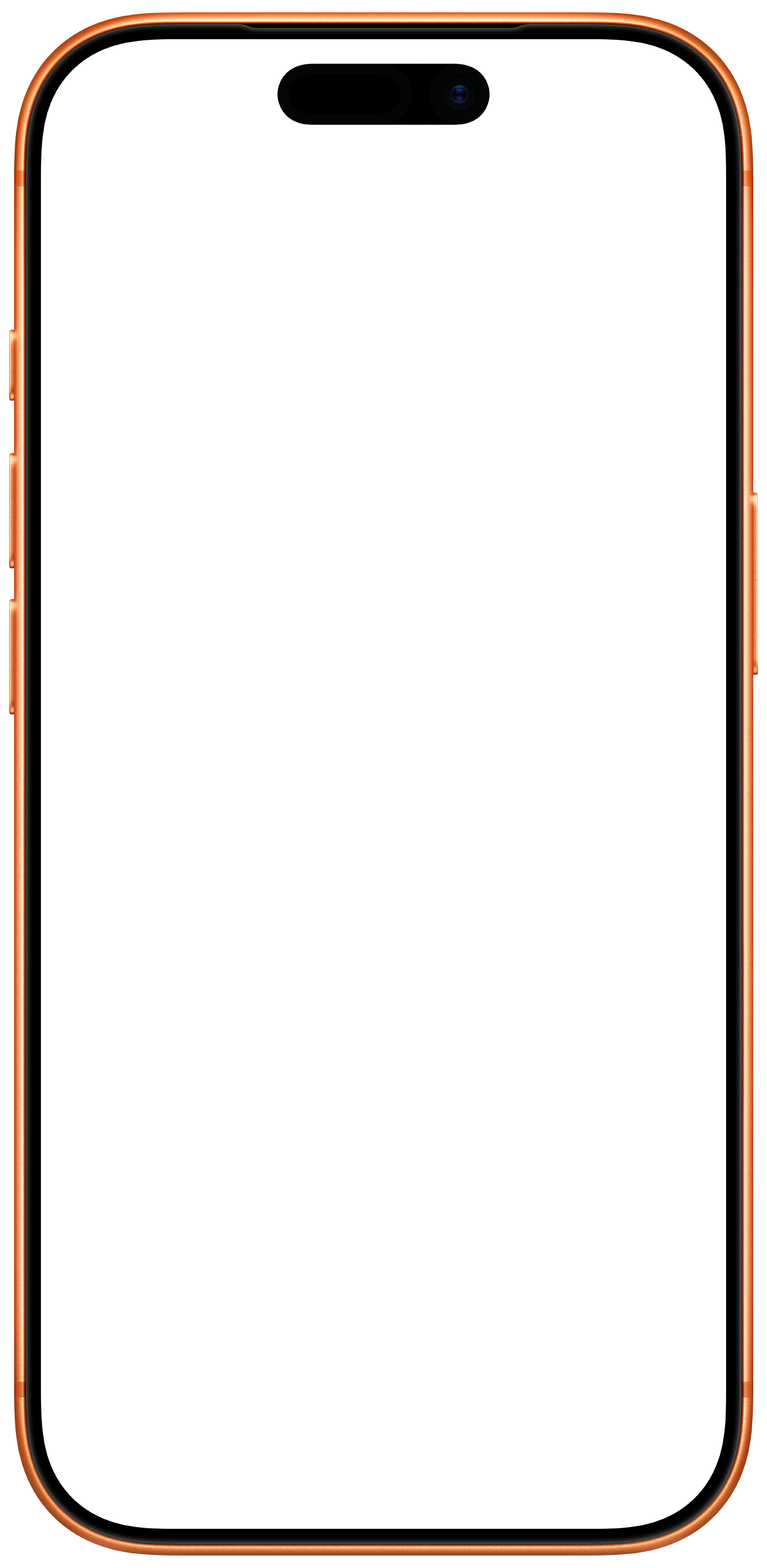 iPhone frame